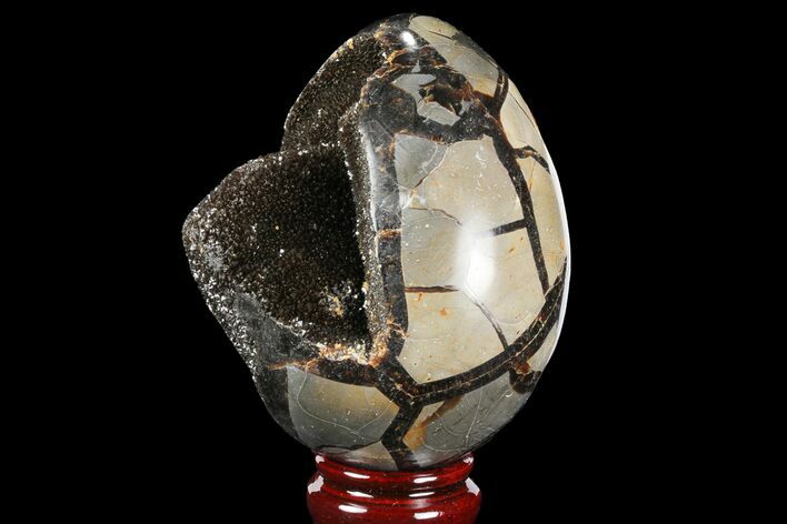 Septarian Dragon Egg Geode - Black Crystals #98836